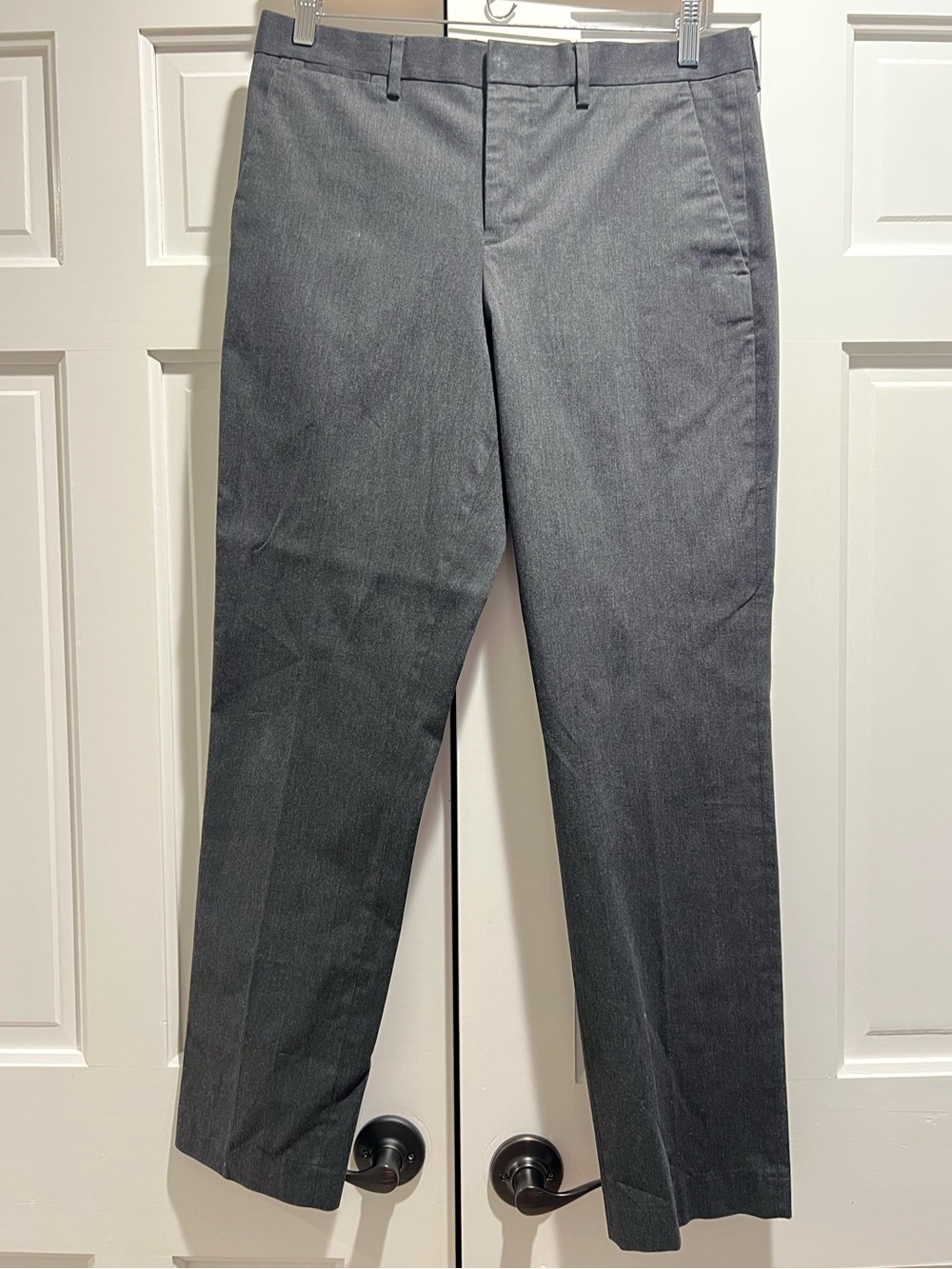 Express Photographer Dress Pants